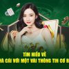 ww88-Sống chất lượng với trực tiếp bóng đá!